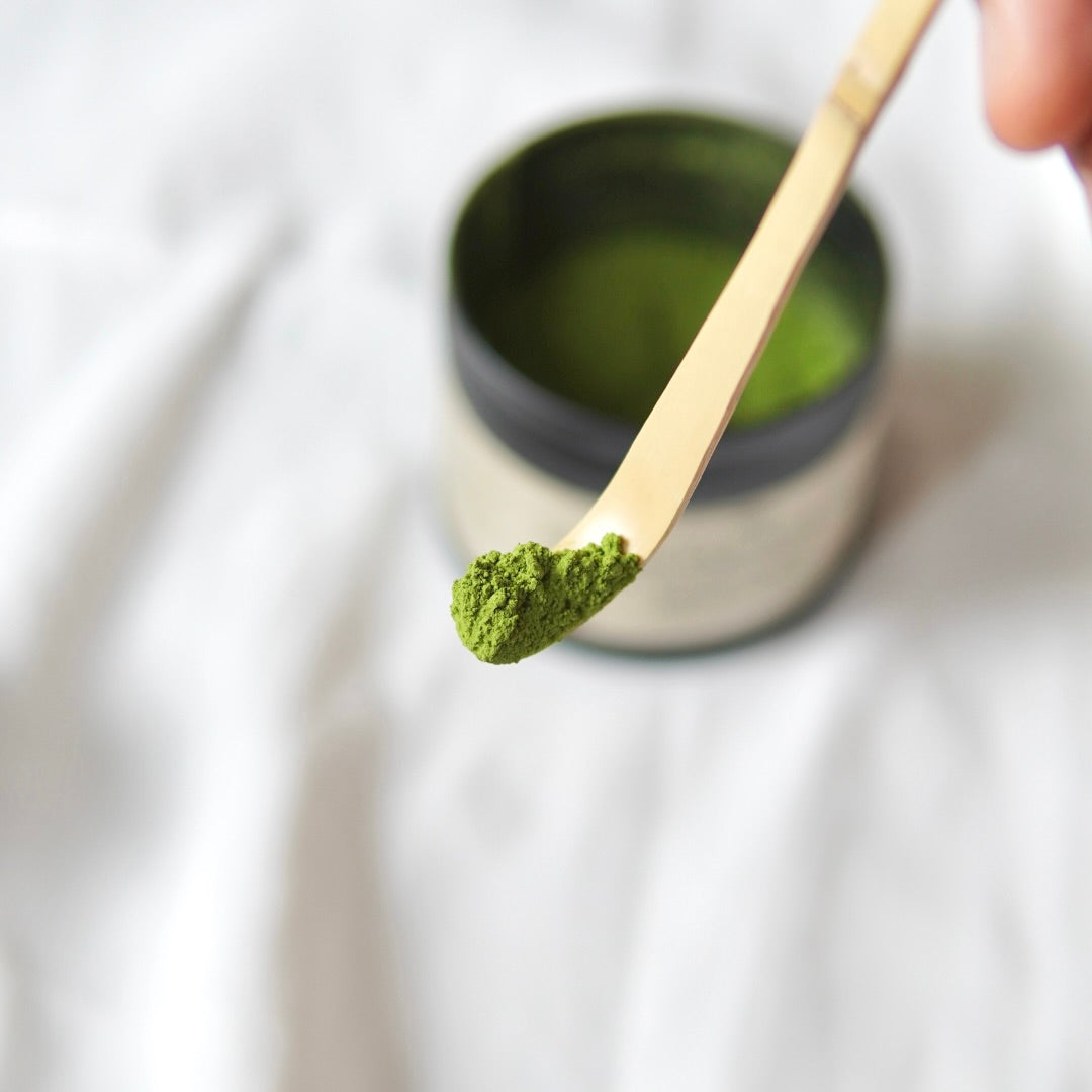 Eine Nahaufnahme eines Bambuslöffels mit leuchtend grünem Matcha | Ceremonial Grade | Kagoshima aus dem Luke Jaque Rodney Store, Bio, mit einem offenen Matcha-Behälter im Hintergrund auf einer weißen Fläche.